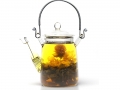 Blooming teapot - Clear glass teapot for flowering tea (300 ml / 10.1 oz)